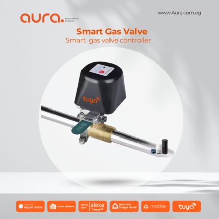 Smart Gas Valve